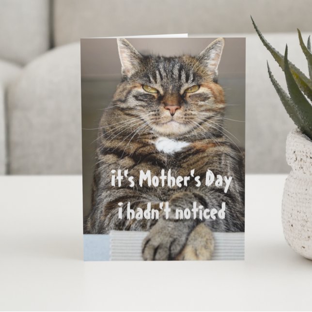 Tarjeta Día de las Madres De Gato Divertido Lindo (Subido por el creador)