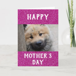 Tarjeta Día de las Madres Perro Mamá del Mundo Mejor Foto