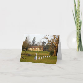 Tarjeta Día de salida de la oca y los ansarinos