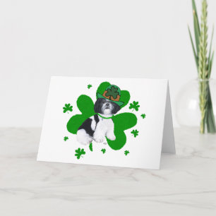 Tarjeta Día de San Patricio de Shih Tzu