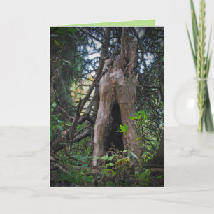 Tarjeta Día de San Patricio: ¿Quién vive aquí?