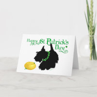 Día de San Patricio Scottish Terrier