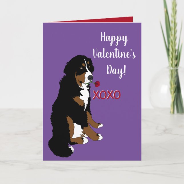 Tarjeta Día de San Valentín Bernese Mountain Dog (Anverso)