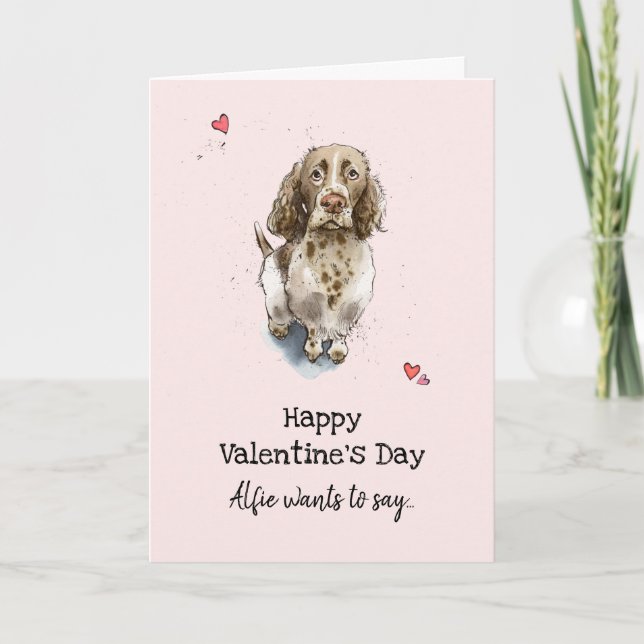 Tarjeta Día de San Valentín de Brown & White Springer (Anverso)