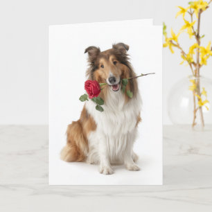 Tarjeta Día de San Valentín de Collie – Amor suave con una