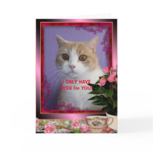 Día de San Valentín de gato divertido personalizab