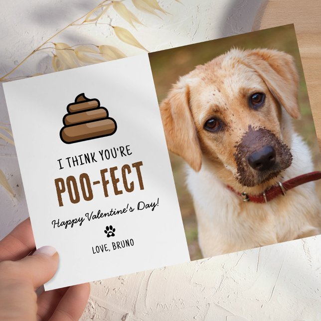 Tarjeta Día de San Valentín de perro Mascota gracioso (Subido por el creador)