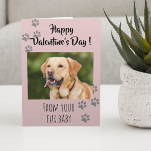 Tarjeta Día de San Valentín Foto Perro Gato Mascota Bebé P