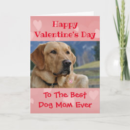 Tarjeta Día de San Valentín Perro Mamá del Mundo Mejor Fot