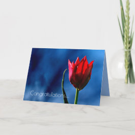 Tarjeta Día del Divorcio Feliz Tulipán Rojo