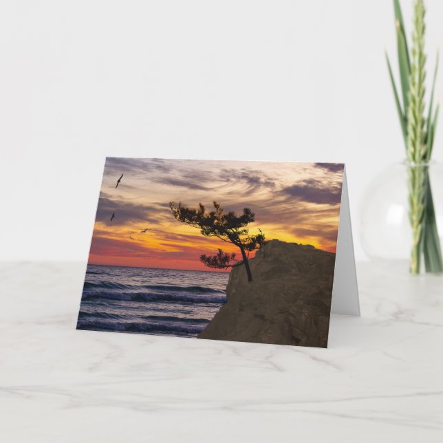 Tarjeta Día del Padre del Árbol del Sol (Anverso)