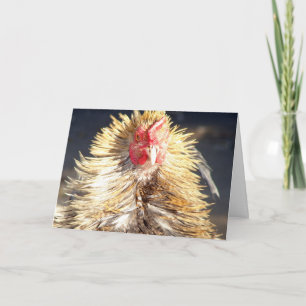 Tarjeta Día del Pelo Malo