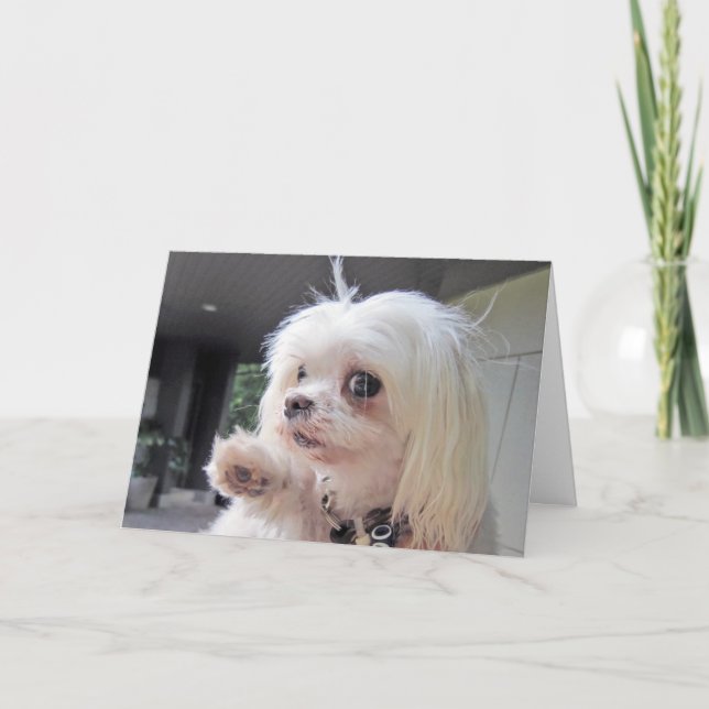 Tarjeta Día del Pelo Malo (Anverso)