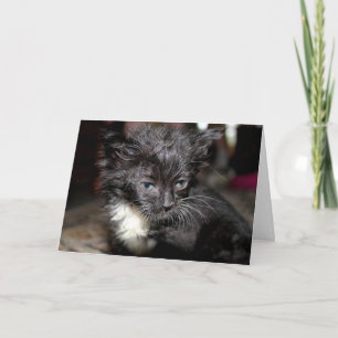 Tarjeta Día del Pelo Malo