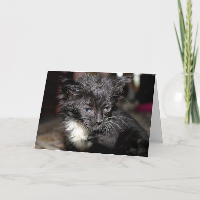 Tarjeta Día del Pelo Malo (Anverso)