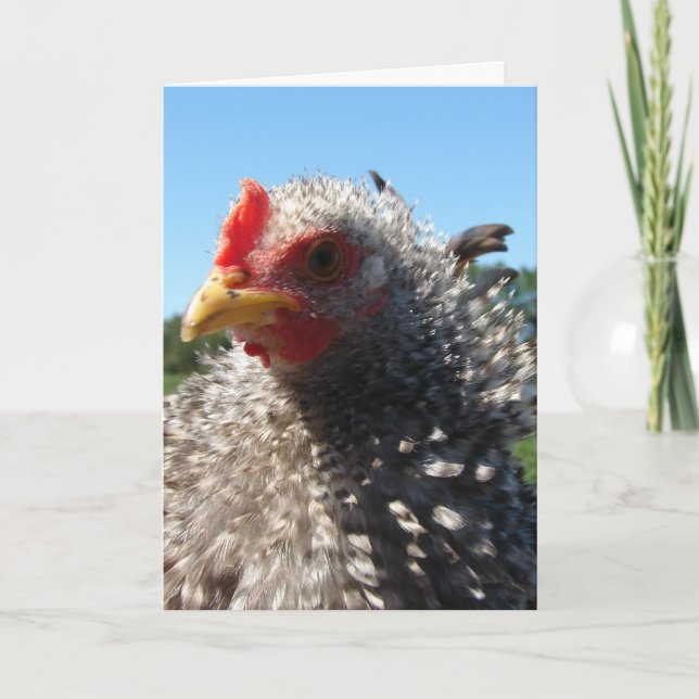 Tarjeta Día del pelo malo a veces (Anverso)