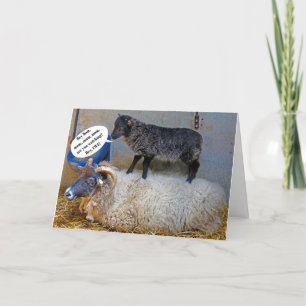 Tarjeta Día Difícil para la Oveja