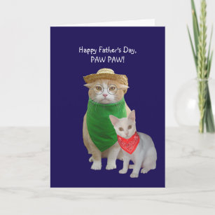 Regalos El Día De Padre Feliz Gatos 