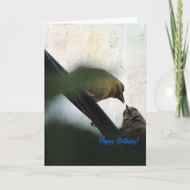 Tarjeta Día feliz de cumpleaños de la chica que alimenta a (Anverso)