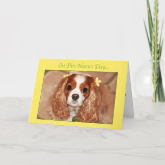 Tarjeta Día Feliz de las Enfermeras con dulce Cavalier Kin