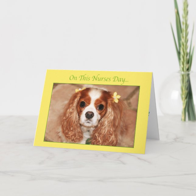 Tarjeta Día Feliz de las Enfermeras con dulce Cavalier Kin (Anverso)
