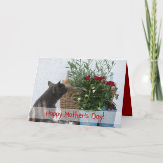Tarjeta ¡Día feliz del gato y de madre de los rosas!