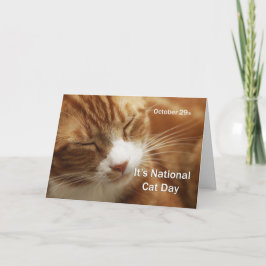 Tarjeta Día Nacional del Gato 29 de octubre