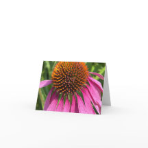 Día rosado - Gracias Cartas