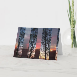 Tarjeta Día tras día