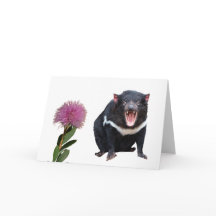 Diablo y cepillo de botellas de Tasmania