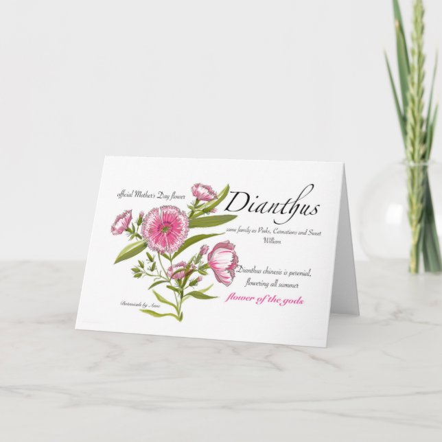 Tarjeta Dianthus Blank (Anverso)