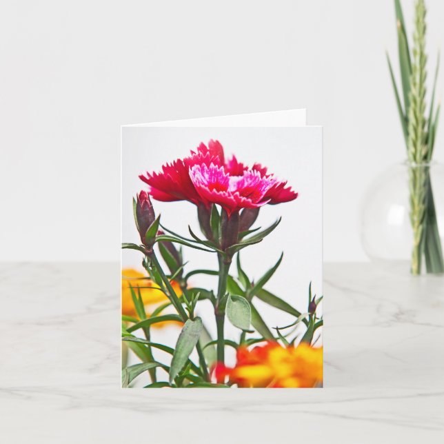 Tarjeta Dianthus Flower (Anverso)