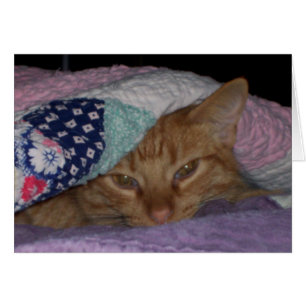 Tarjeta diaria del "Snuggle venido"