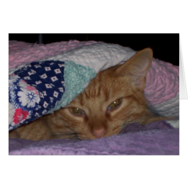 Tarjeta diaria del "Snuggle venido" (Anverso (Horizontal))