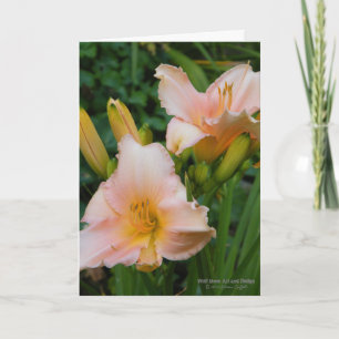 Tarjeta Diarios / Crema Con Rubor Rosa Pastel /