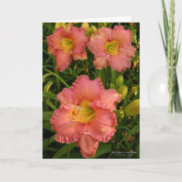 Tarjeta Diarios / Flores Lily / Rosy Pink 2 /