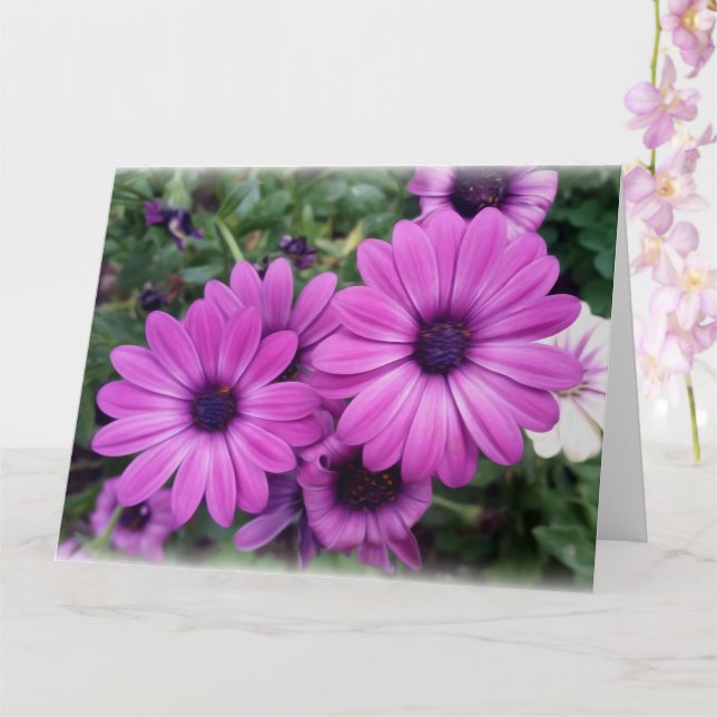 Tarjeta Diásisis moradas (Orquídea)