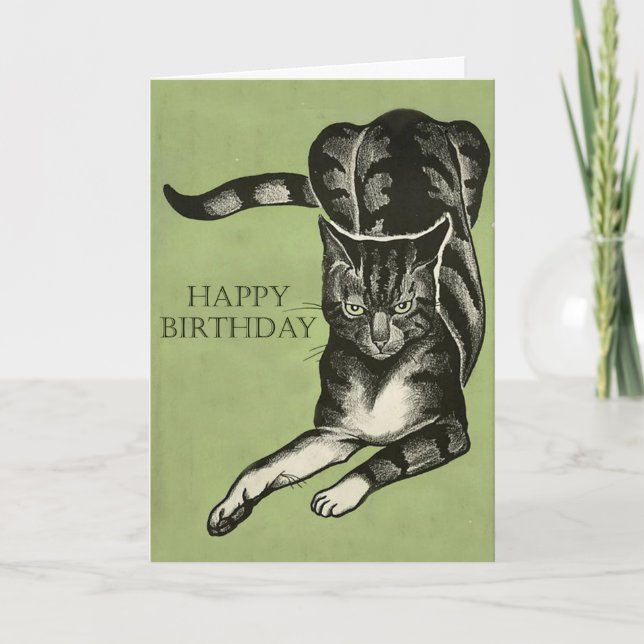 Tarjeta Dibujo agujereado del gato - feliz cumpleaños o lo (Anverso)