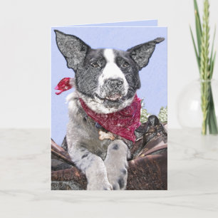 Tarjeta Dibujo de arte de perro mestizo de Border Collie l