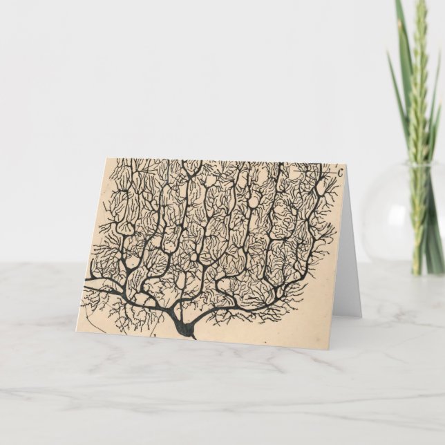 Tarjeta Dibujo De Neuronas Por Santiago Ramón Y Cajal (Anverso)