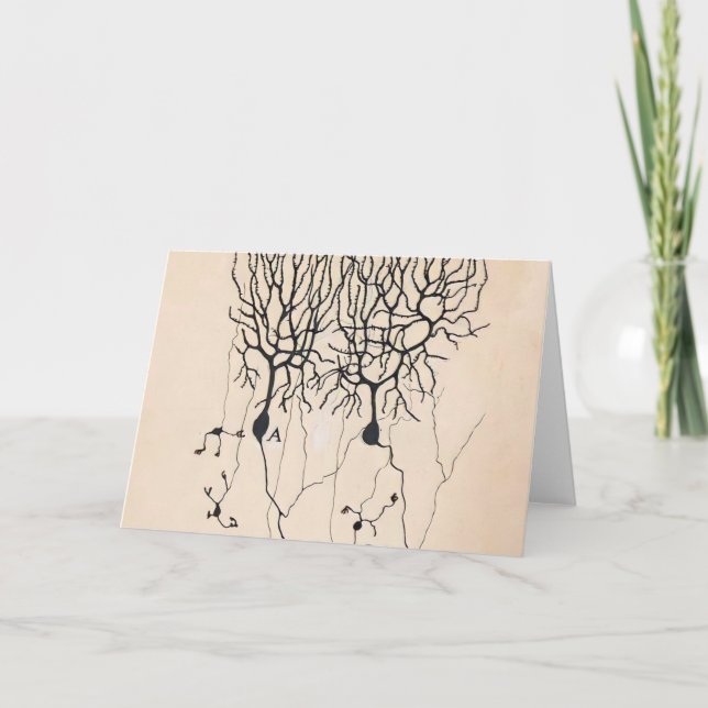 Tarjeta Dibujo de Neuronas Vintas por Santiago Ramón y Caj (Anverso)