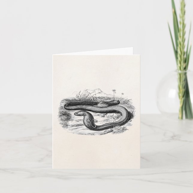 Tarjeta Dibujo retro de las cobras de la serpiente de la (Anverso)