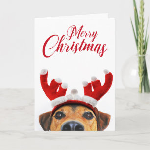Tarjeta Dibujos divertidos de perros lindos con diadema de