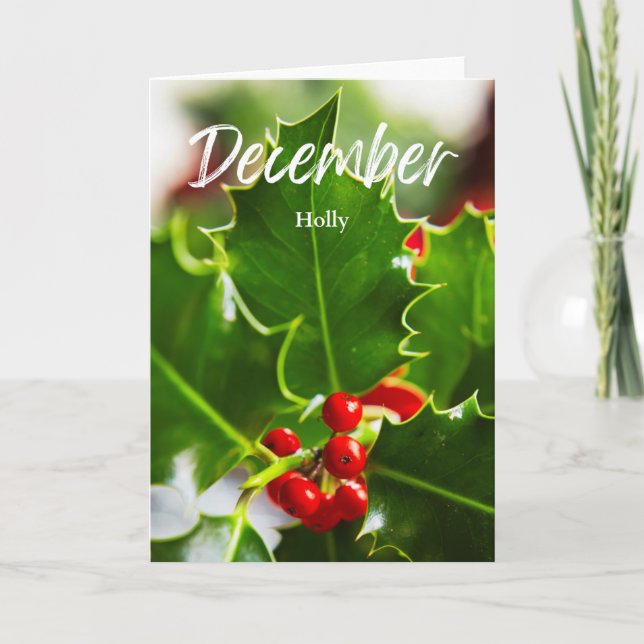 Tarjeta Diciembre Red Holly Nacimiento Mes Flor Cumpleaños (Anverso)