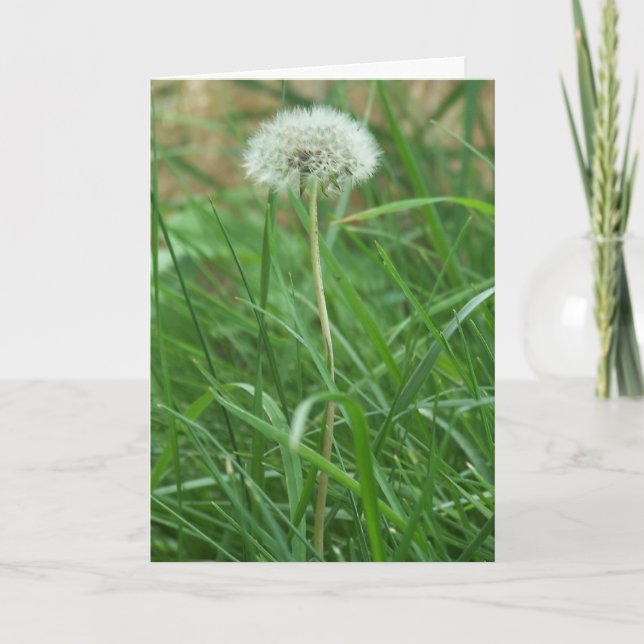 Tarjeta Diente de león (Anverso)