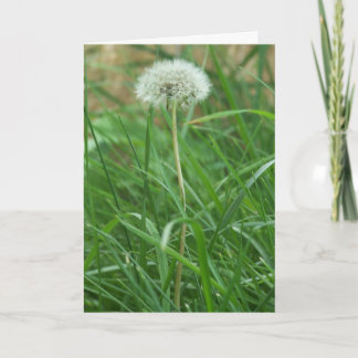 Tarjeta Diente de león