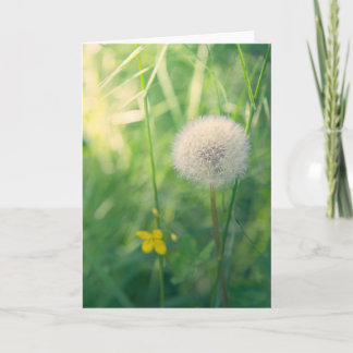 Tarjeta Diente de león en la vegetación con suave luz de v