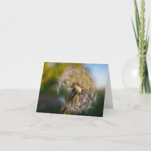 Tarjeta Diente de león Fluffball Notecard