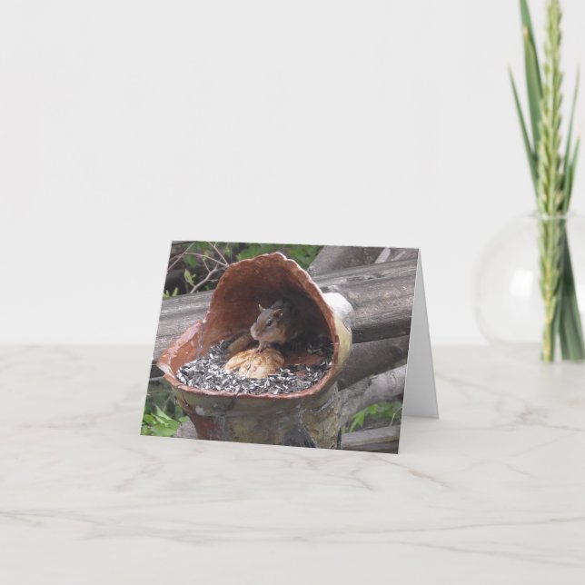 Tarjeta Dietas divertidas con Chipmunk con las mejillas ll (Anverso)