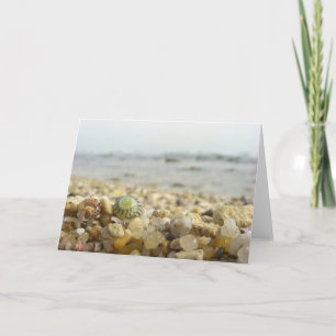 Tarjeta Diferencia - Shell y guijarros en la playa
